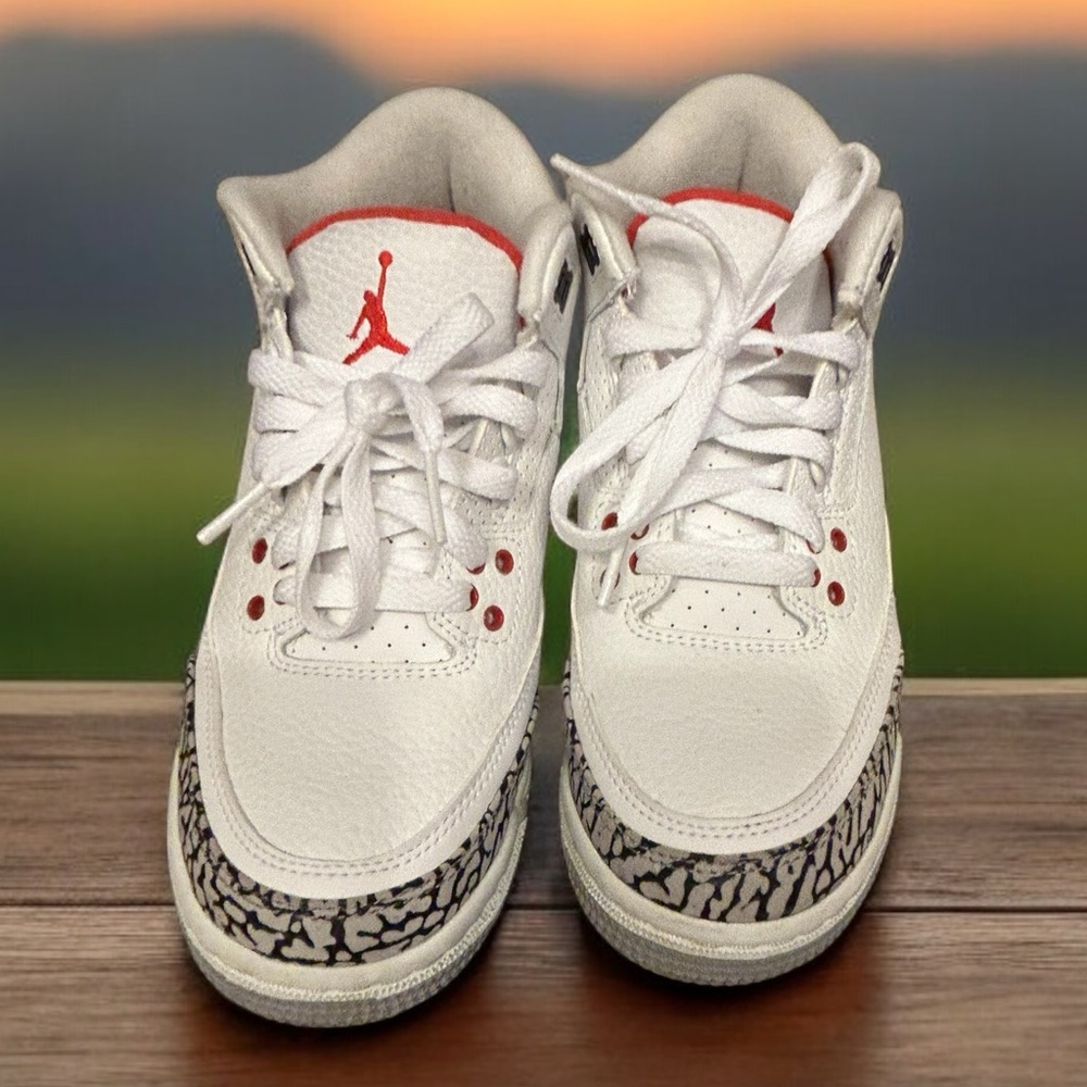 Jordan Retro 3 low
